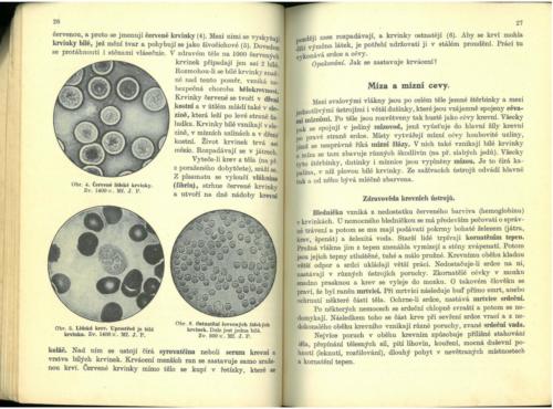 Pastejrik UstrojnaChemieTelovedaZdravovedaGeologie 1936 Stránka 15