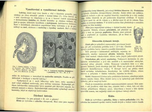 Pastejrik UstrojnaChemieTelovedaZdravovedaGeologie 1936 Stránka 16