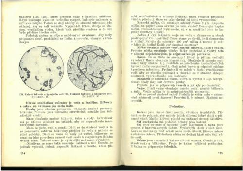 Pastejrik PrirodovedaProObecneSkoly(SestySedmyAOsmyRokSkolni) 1937 Stránka 059