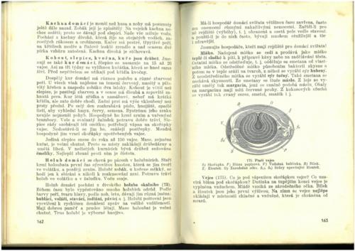 Pastejrik PrirodovedaProObecneSkoly(SestySedmyAOsmyRokSkolni) 1937 Stránka 083