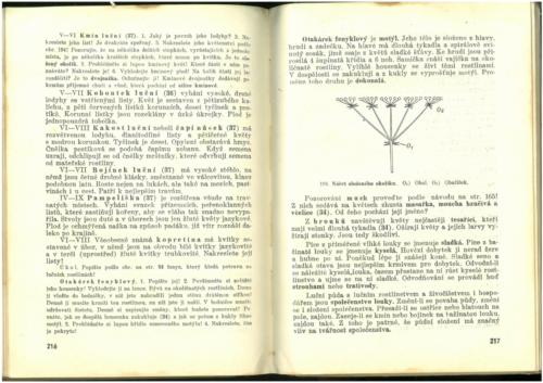 Pastejrik PrirodovedaProObecneSkoly(SestySedmyAOsmyRokSkolni) 1937 Stránka 110