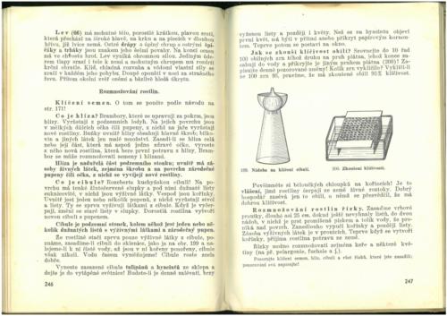 Pastejrik PrirodovedaProObecneSkoly(SestySedmyAOsmyRokSkolni) 1937 Stránka 125