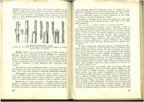 Pastejrik PrirodovedaProObecneSkoly(SestySedmyAOsmyRokSkolni) 1937 Stránka 132