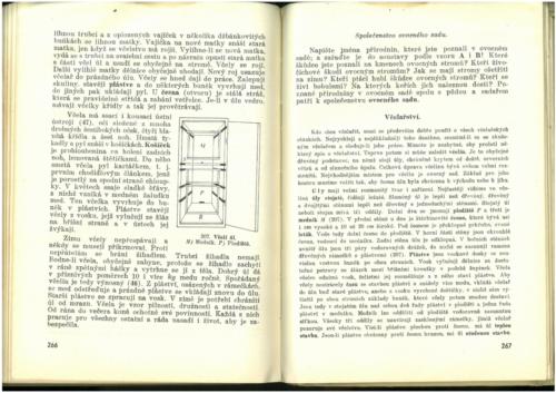 Pastejrik PrirodovedaProObecneSkoly(SestySedmyAOsmyRokSkolni) 1937 Stránka 135