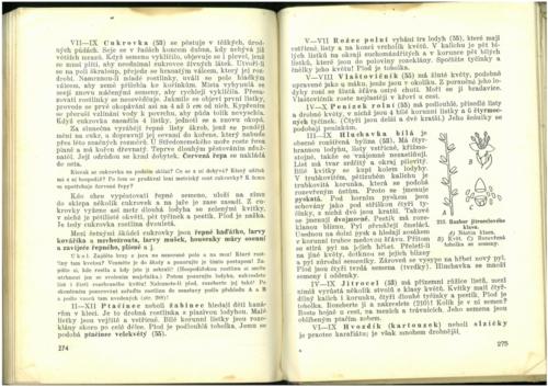 Pastejrik PrirodovedaProObecneSkoly(SestySedmyAOsmyRokSkolni) 1937 Stránka 139
