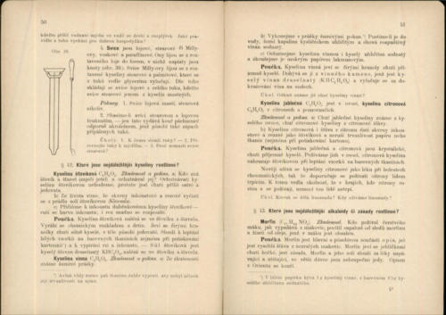 Hofmann-Leminger Prirodozpyt ProMestanskeSkolyChlapecke III 1906 Stránka 29
