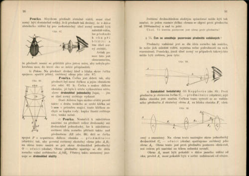 Hofmann-Leminger Prirodozpyt ProMestanskeSkolyChlapecke III 1906 Stránka 49
